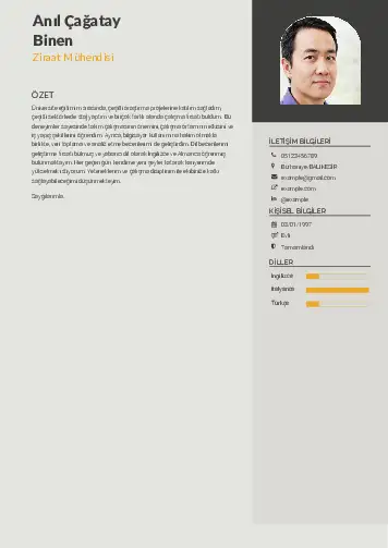 Ziraat Mühendisi Cv Örnekleri cv indir